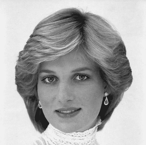 Princess Diana Charity Work | Historic Newspapers US